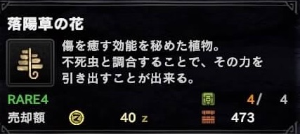 落陽草の花
